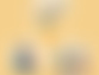 Gold Mining Company's Future