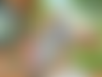 Should Capital Gains Tax Replace Sellers’ Stamp Duty?