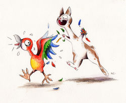 And other illustrations