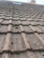 WhatsApp Image 2025-12-02 at 02.11.52_f7ddedec.jpg