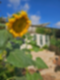 20240804_085858.heic