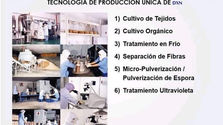 Ganoterapia DXN