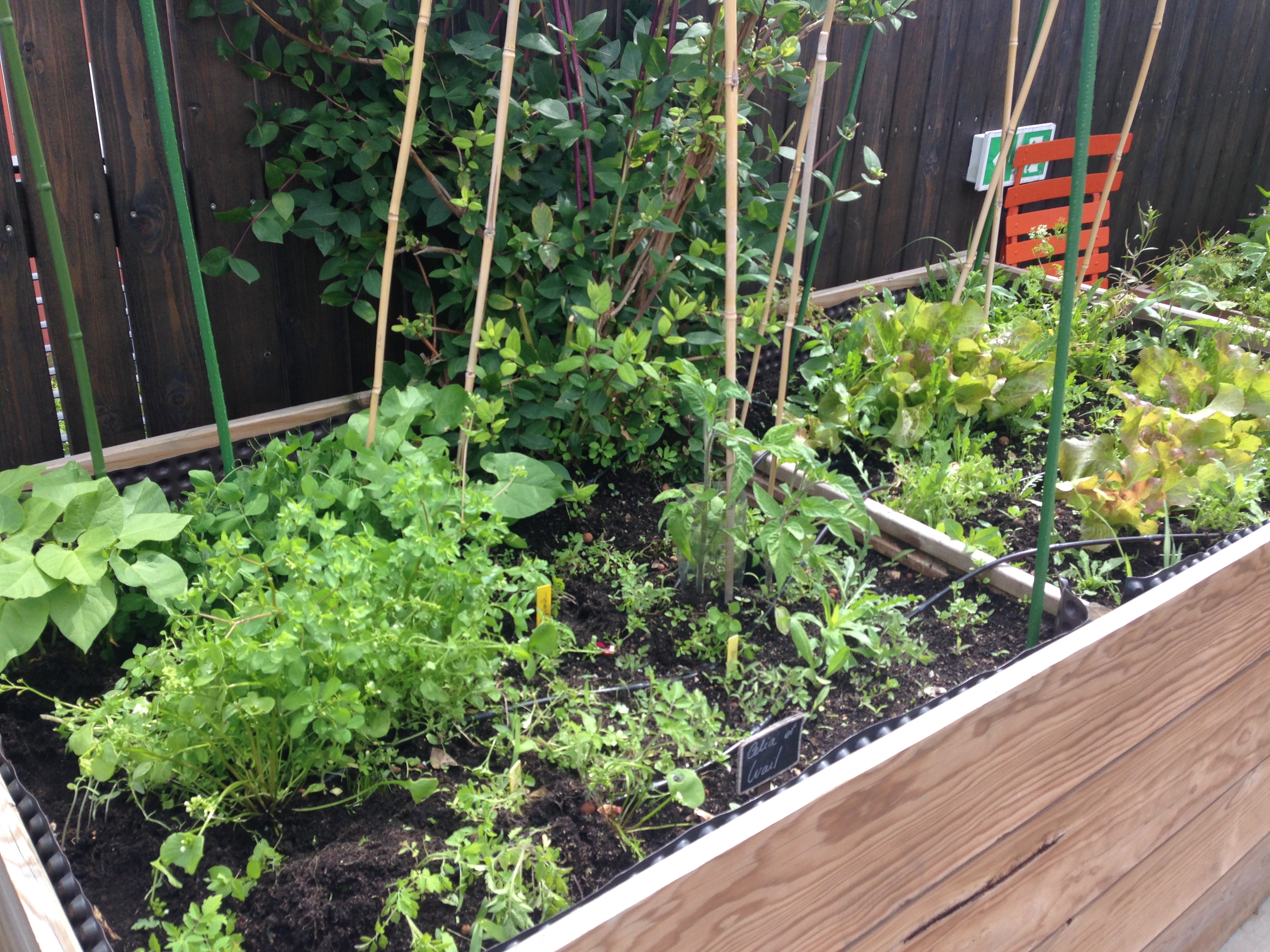 Agriculture urbaine