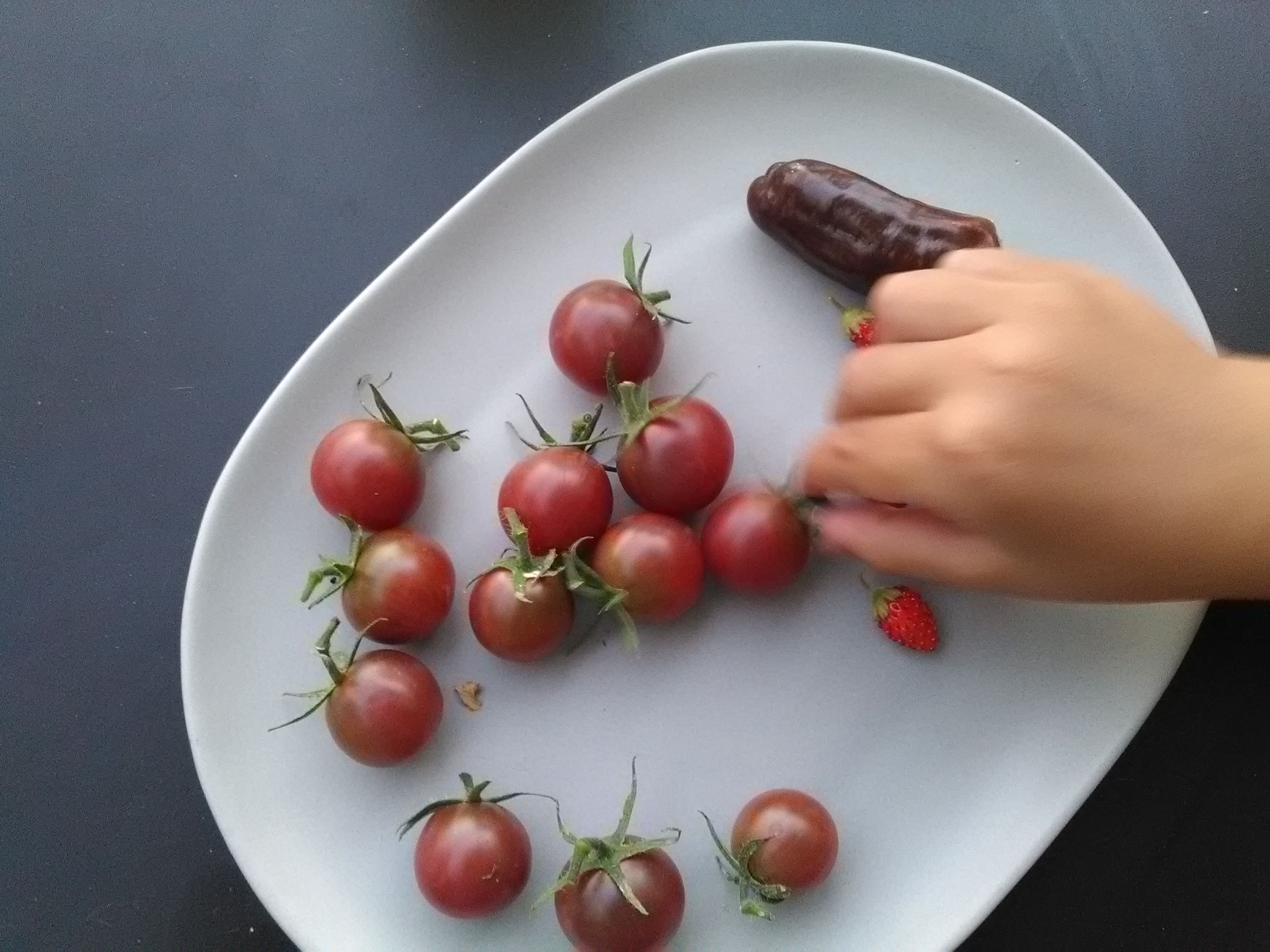 Tomate, fraises et poivrons chocolat