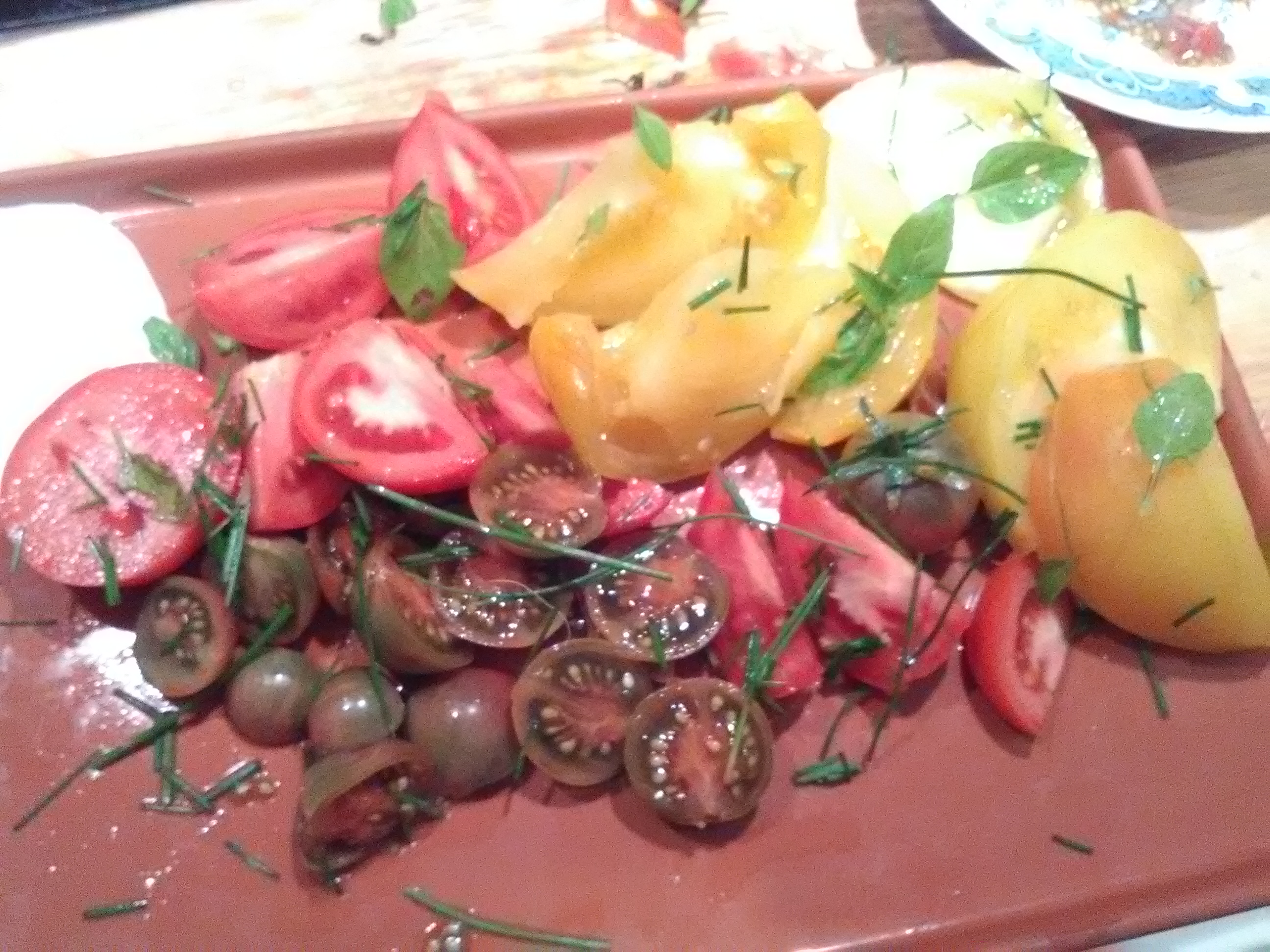 Dernières tomates de la saison
