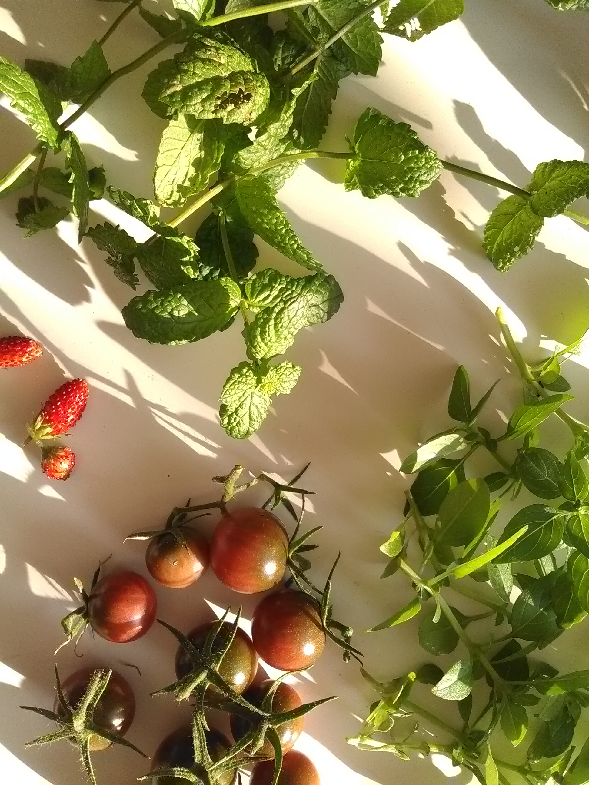 Déjeune du balcon à l'assiette