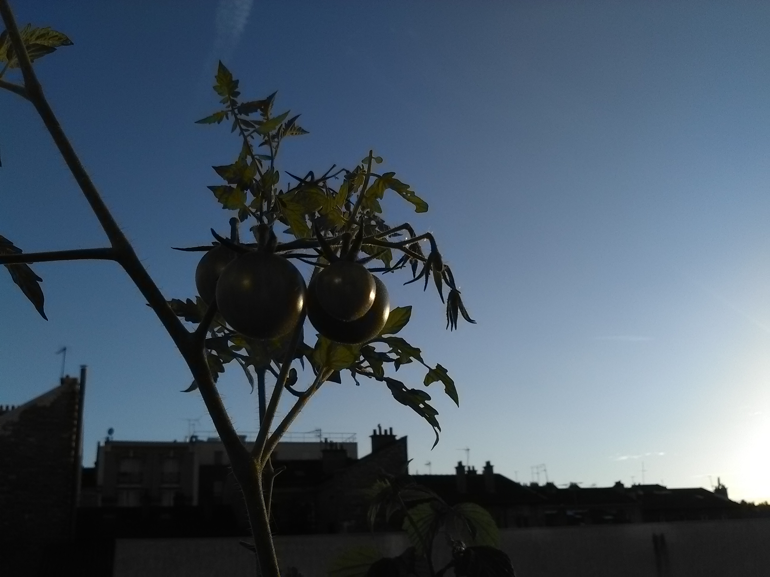 Apéro sur balcon comestible