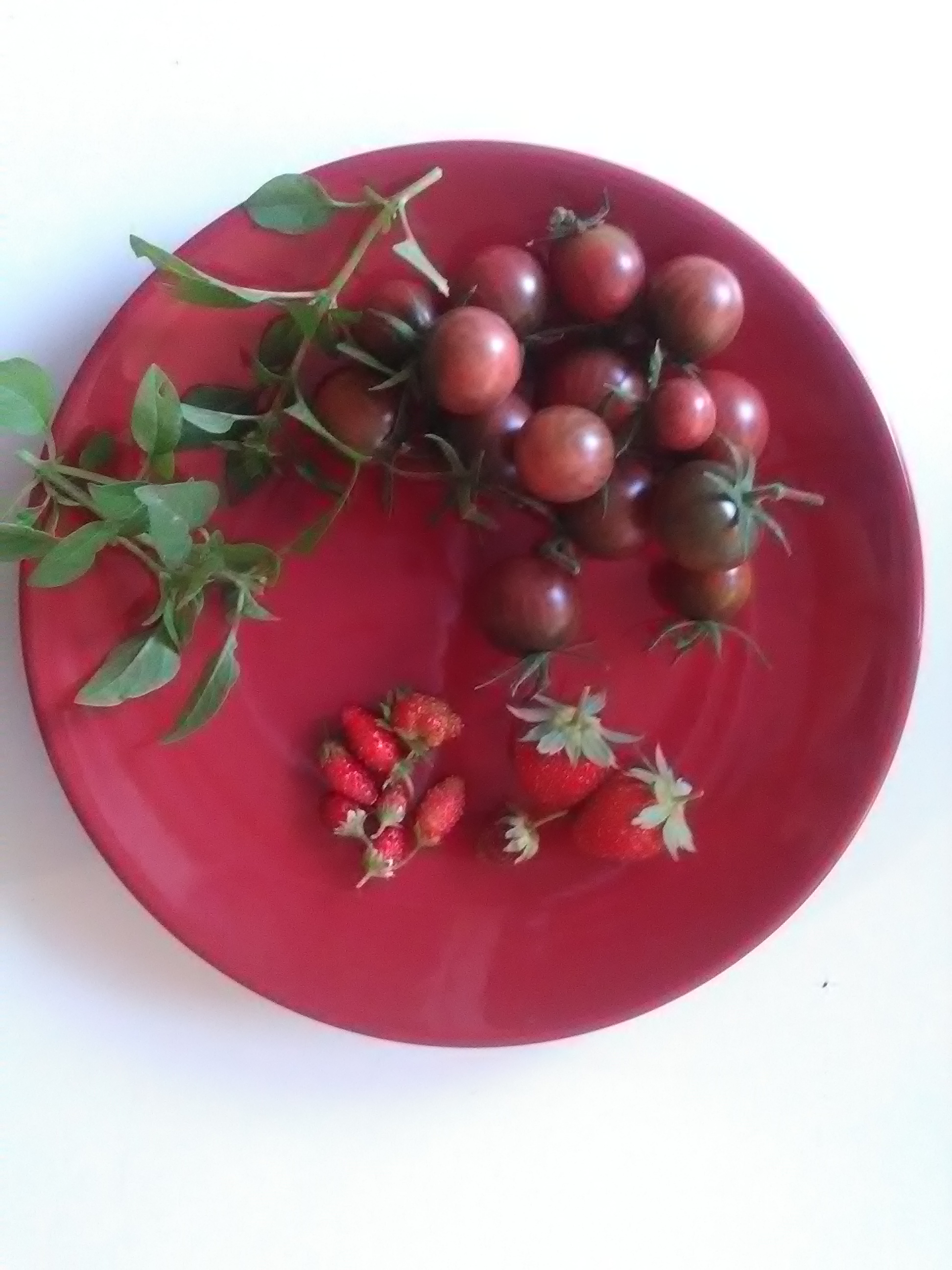 petite salade de tomates