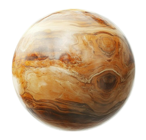 image-removebg-preview (1).png