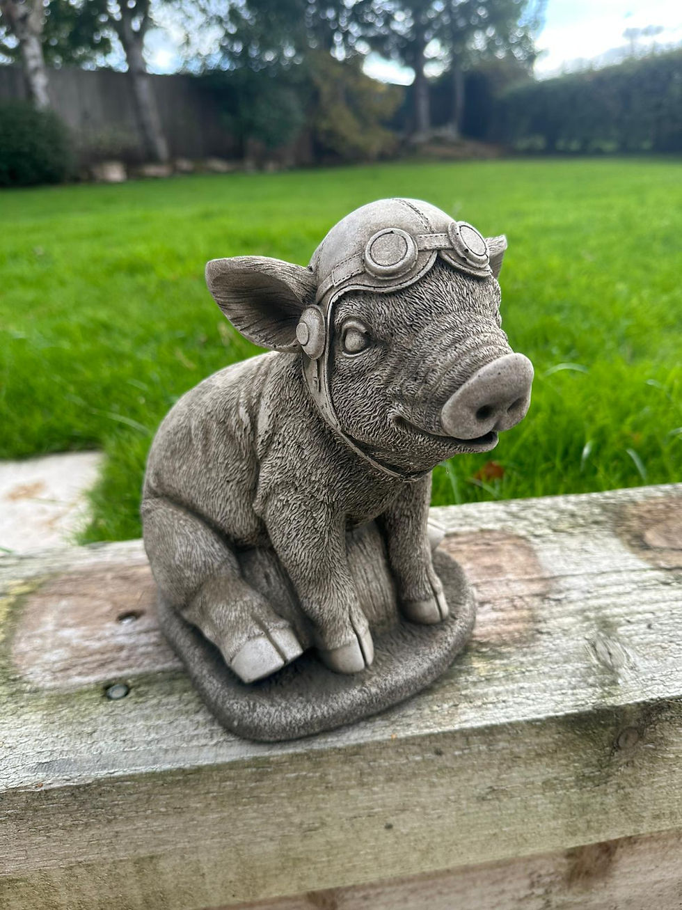 Thumbnail: 10-927 FLYING PIG