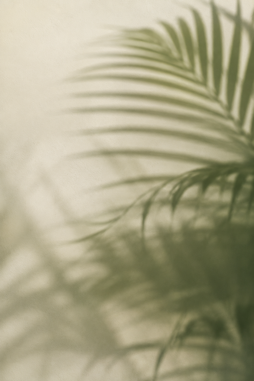 23c243d4-1f64-443d-9235-ec35d38cce55.png
