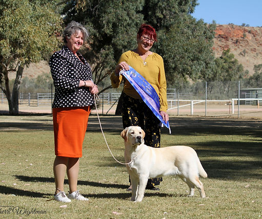 Alice Springs BIS 1_edited.jpg