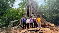 ท้องฟ้าสีฟ้าคราม