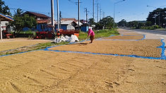 ท้องฟ้าสีฟ้าคราม