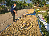 ท้องฟ้าสีฟ้าคราม