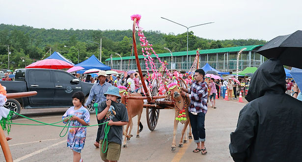กล่องสีขาว.jpg
