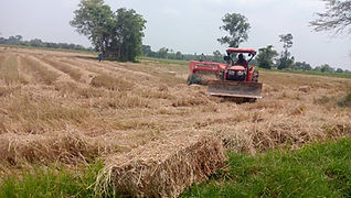 สู้พิษเศรษฐกิจชาวนาอัดฟางข้าวตุนเสบียงสัตว์เลี้ยง พร้อมรวมสต๊อกส่งโรงไฟฟ้าชีวมวลหนุนรัฐส่งเสริมพลังงานสะอาด ลดจ่ายสร้างรายได้