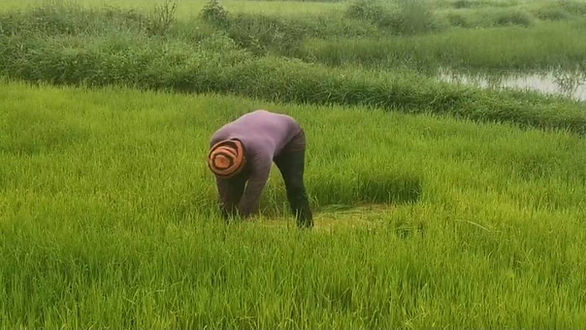 กล่องสีขาว.jpg