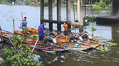 ท้องฟ้าสีฟ้าคราม