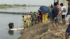 ท้องฟ้าสีฟ้าคราม