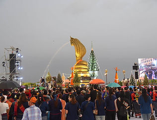 กล่องสีขาว.jpg