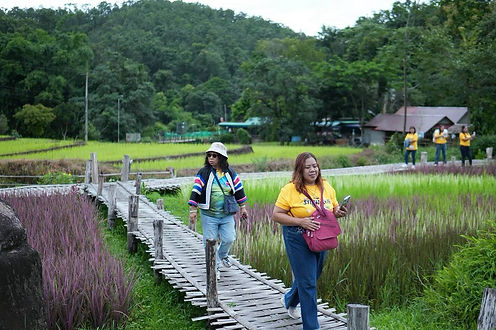 กล่องสีขาว.jpg