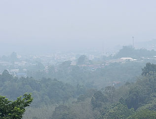 กล่องสีขาว.jpg