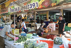 ท้องฟ้าสีฟ้าคราม