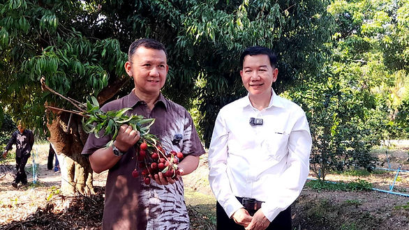 สมุทรสงคราม - วิจัย "ลิ้นจี่ค่อม" คืบหน้า ใช้วิทยาศาสตร์ไขปริศนาดอกร่วง หวังเพิ่มผลผลิต-รายได้เกษตรกร !!