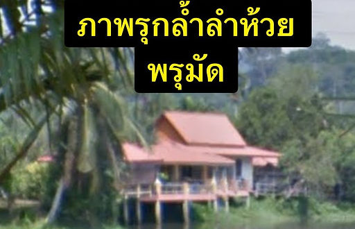 กล่องสีขาว.jpg