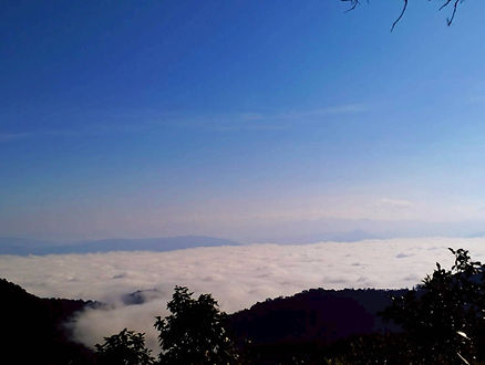 กล่องสีขาว.jpg