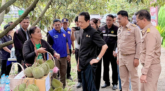 รู้หรือไม่ ทำไม “ทุเรียนภูเขาไฟศรีสะเกษ” ถึงดังไกลระดับโลก จนต้องต่อคิวซื้อจองสวนข้ามปี..มาหาคำตอบกัน !!