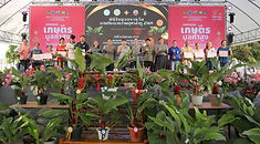 'ศศิน' รองผู้ว่าฯหนองบัวลำภู มอบรางวัลการประกวดว่านอุษา รุ่นนางพญา ว่านอุษาลำภู จากอำเภอโนนสัง คว้ารางวัลชนะเลิศ 
