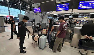 สตช.บูรณาการกำลังสุนัขตำรวจ (K9) ร่วมกับ ป.ป.ส. และ AOT เปิดปฏิบัติการสแกนเข้มกระเป๋าสัมภาระท่าอากาศยานสุวรรณภูมิ