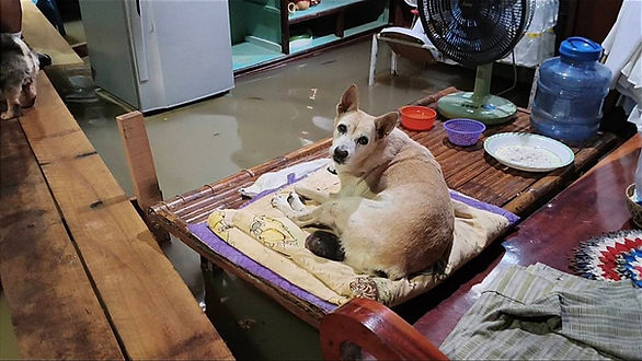 กล่องสีขาว.jpg