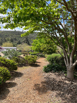 Pathway