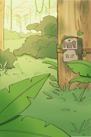 forest starting scene.gif
