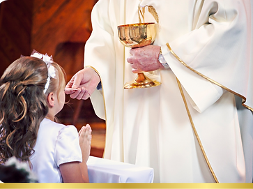 Sin título (3000 x 1700 px) (15).png