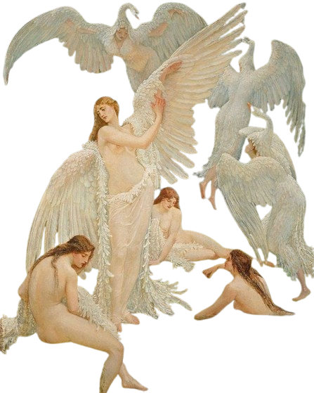 Sacerdotisa Cisne, Swan maiden