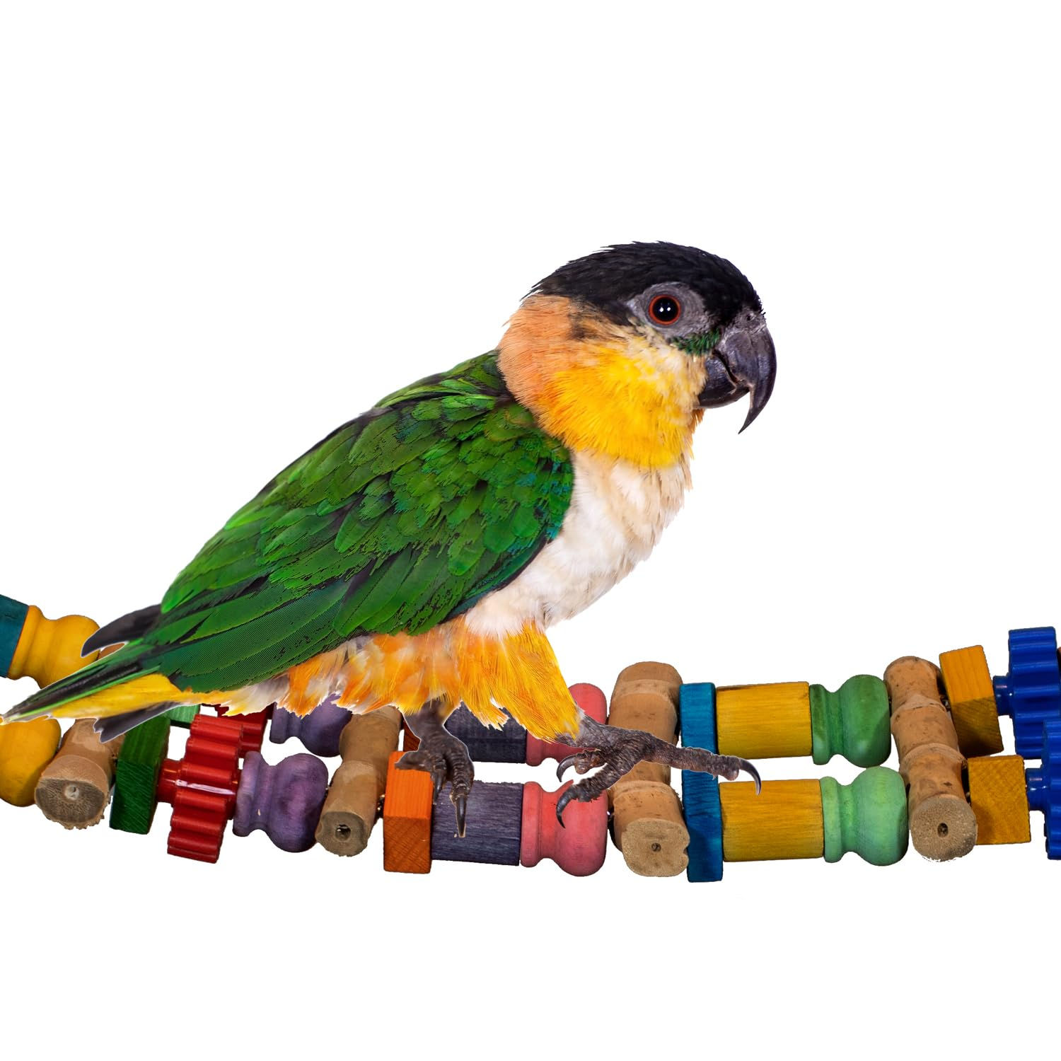 Super Bird Creations SB1157 Bamboo Bridge Bird Toy for Parrots Ringnecks Conures