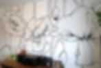 Modern poppy flowers mural