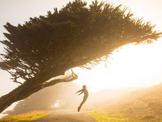 Enjoy Gravity: The Force That Shapes Your Health