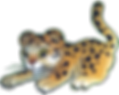leopard_bg.png
