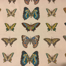 Butterflies