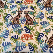Cheetahs and Monkeys