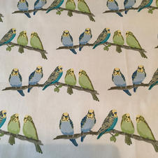 Parakeets