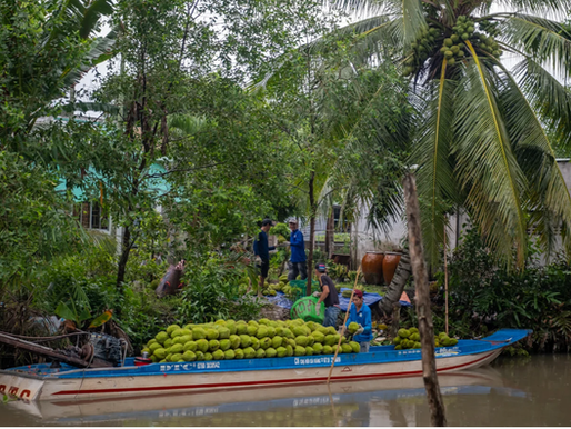 Vietnam’s Mekong Delta is sinking, but innovations offer hope