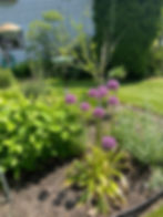 facebook_1751479936746_7346239304614107725