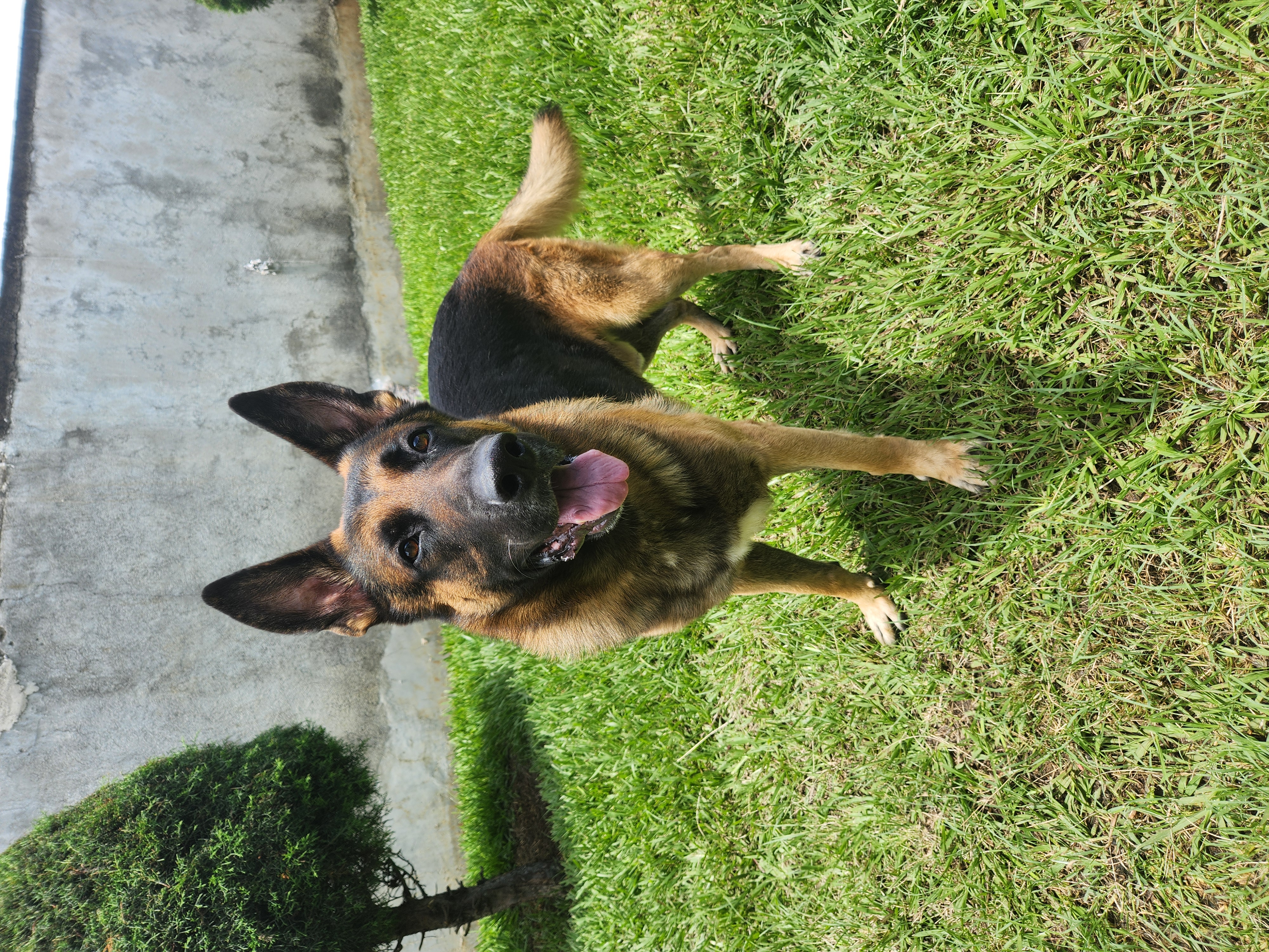 Bruce