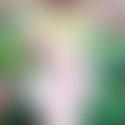 Unveiling the Magic: Discover the Hidden Secrets of the TREMENTINA JEWELLERY COLLECTION